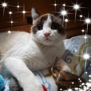 Meet your Posher, Lori